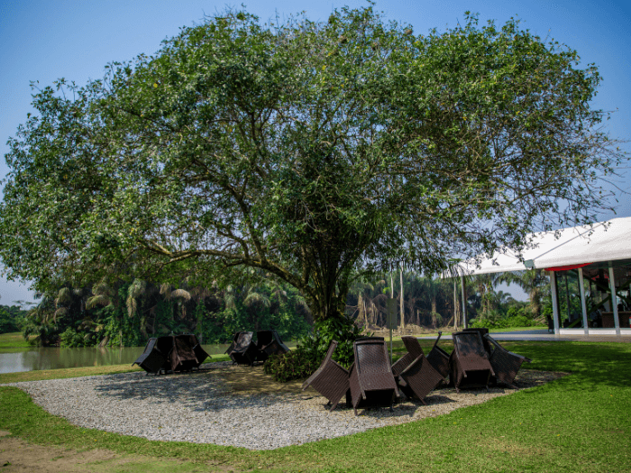 The Clubhouse image 1