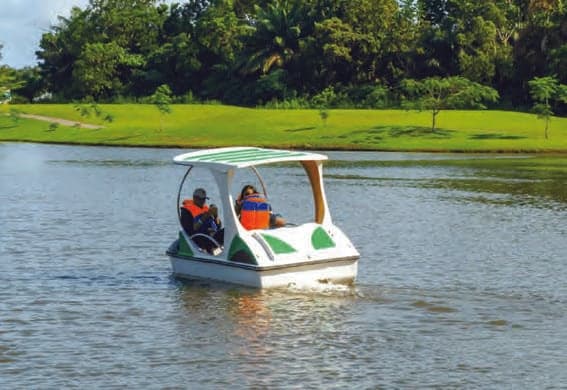 Pedal Boating